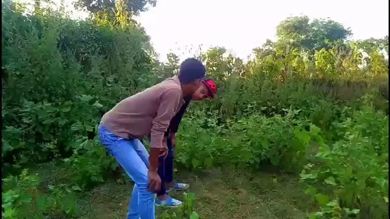 Bhutiya jangal,, Hunted_Forest__ajay_ghosko__round2
