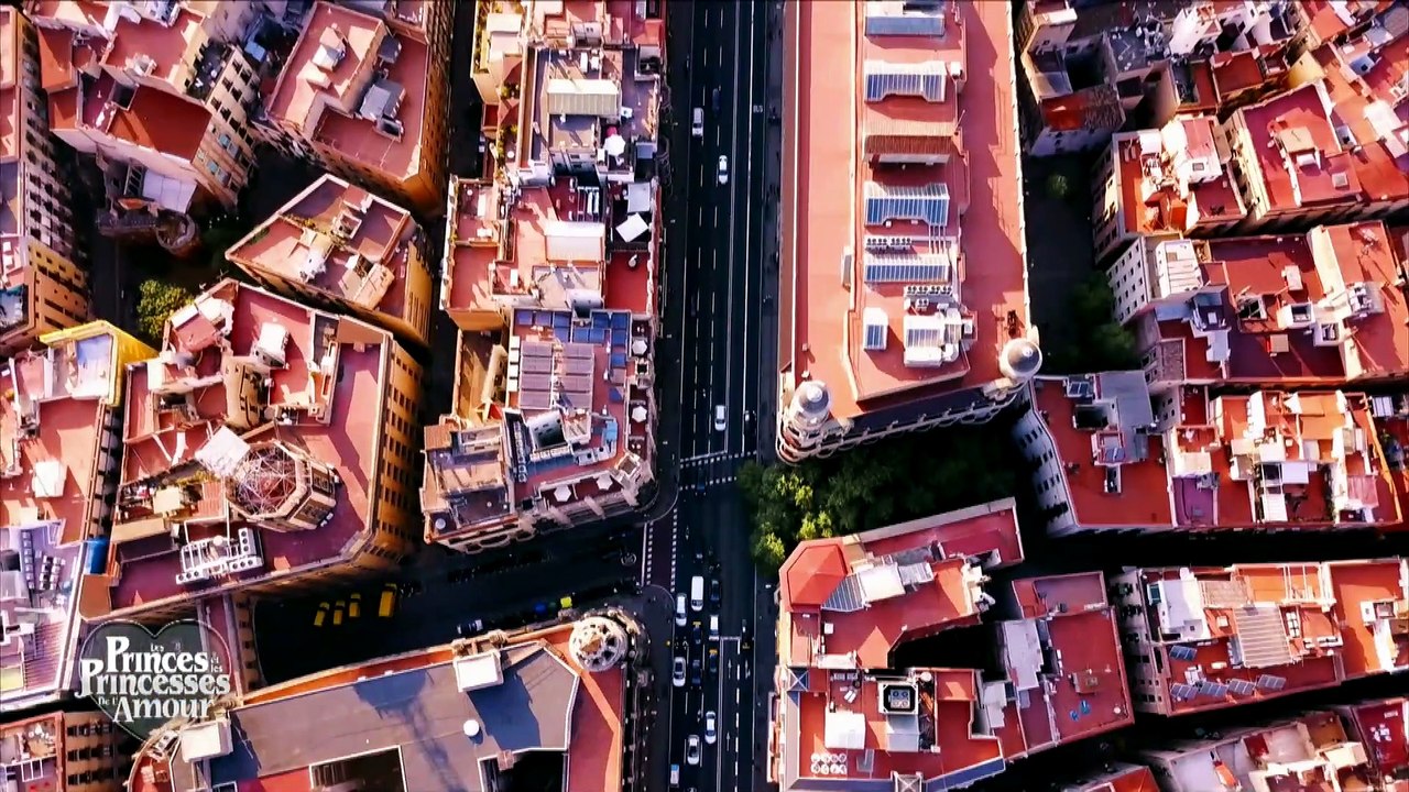 AVANT-PREMIERE: Découvrez le nouveau prégénérique des "Princes et princesses de l'amour" qui sera diffusé dès ce soir sur W9