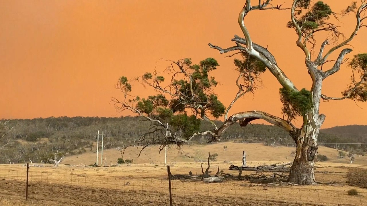 Australiens Buschfeuer haben bereits die Fläche Österreichs vernichtet