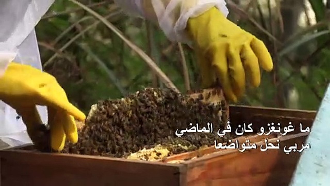 تطبيقات تبادل أشرطة الفيديو تعطي دفعا لمبيعات العسل الصيني