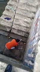 Viral Terkini | Fenomena Alam Di Gorontalo Ikan Naik Ke Daratan Pertanda Apa ??