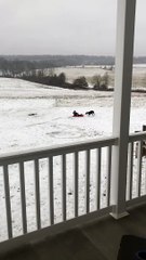 Dog Does Donuts with Kiddo