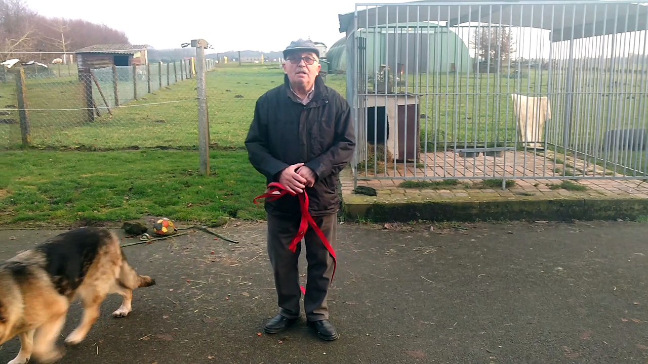 Jurbise Gina s'était enfuie à cause des deux d artifices. Vidéo Eric Ghislain