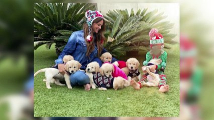 Romina Belluscio aclara la polémica de sus cachorros
