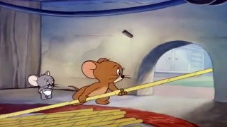 TOM and JERRY NEW VERY FUNNY EPISODE 2020