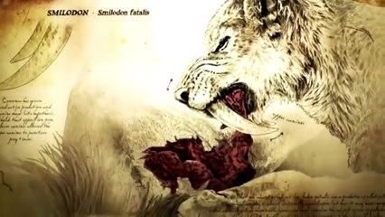TIGRE-DE-DENTES-DE-SABRE! Esse grande e forte felino foi o rei da pré-história!!!