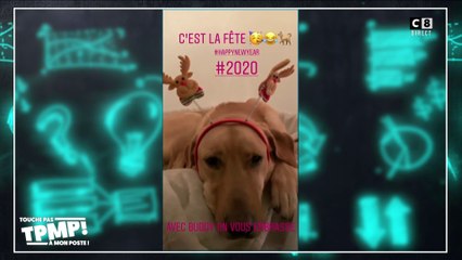 Le conseil de classe de Cédric Cizaire : Les aventures incroyables de Valérie Bénaim et Buddy !