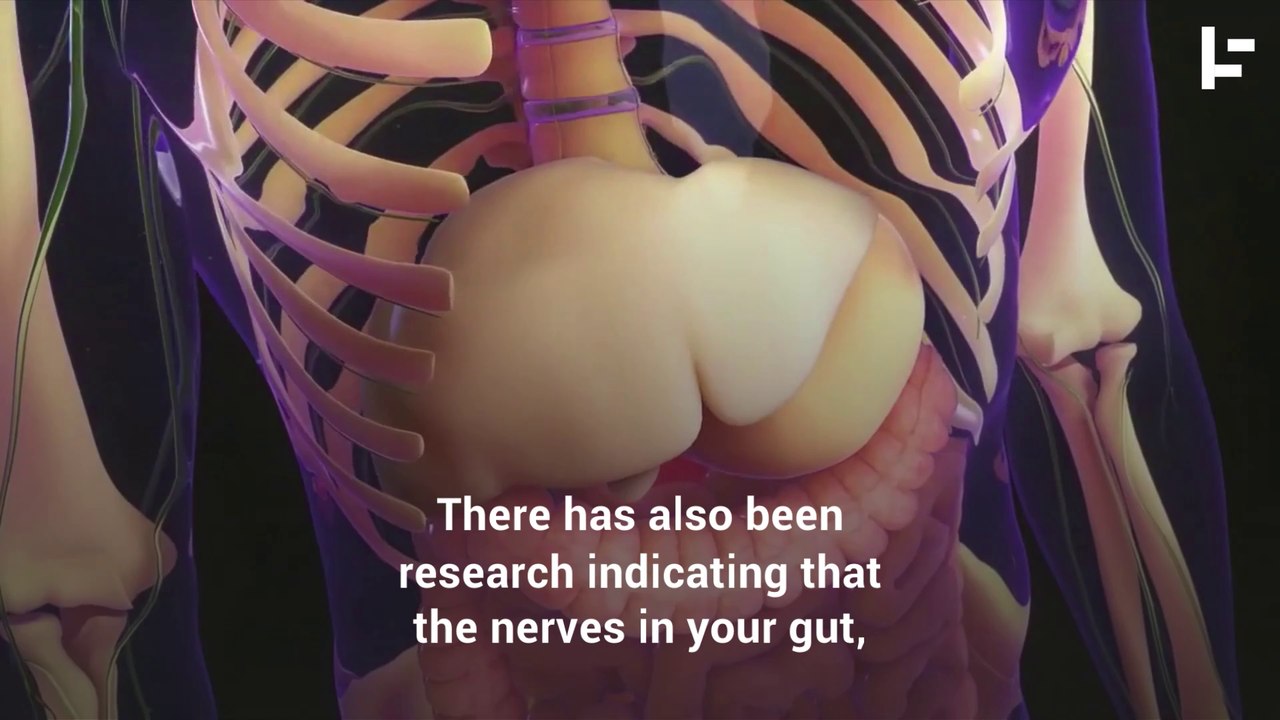 How You Might Have a Little Brain in Your Heart