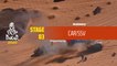 Dakar 2020 - Stage 3 (Neom / Neom) - Car/SSV Summary
