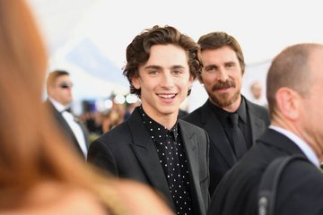 Timothée Chalamet in Talks to Play Young Bob Dylan