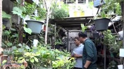 Manfaat Besar Danau Bagi Warga