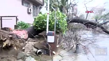 İBB fırtınanın bilançosunu açıkladı