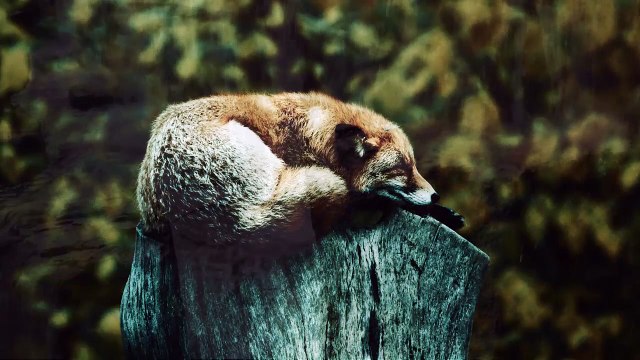 Violin Relax music Relax with this wonderful song, It is a beautiful relaxing music to soothe the mind and body. Sleeping and relaxing music played on classical and light violin. Relaxing music to sleep! relax violin music relax violin music youtube rela