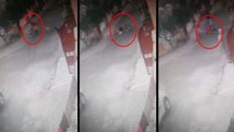हापुड़: कुत्तों के झुंड ने महिला को नोंचा, घटना CCTV में हुई कैद