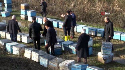 Mersin'de 15 bin arı kovanı sular altında kaldı