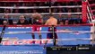 Miguel Cotto vs Sadam Ali 02-12-2017 Full Fight