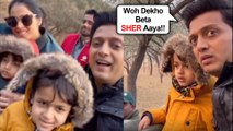 So Cute !!! Ritesh Deshmukh With Wife Genelia And Kids ENJOY Jungle Safari In Jaipur