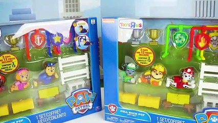 Paw Patrol Wind-Up Toys Race for the Championship-