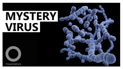 Mysterious virus sickens dozens in central China