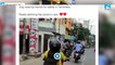 Dog wears helmet, sets road safety examples, video goes viral