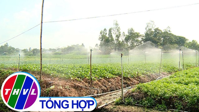 Nông nghiệp bền vững: An Giang triển khai hệ thống tưới công nghệ cao dùng chung quy mô lớn