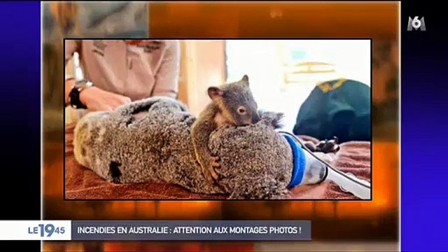 Incendies en Australie: De nombreux photomontages sont publiés sur les réseaux sociaux - Voici des conseils pour ne pas se faire avoir ! - VIDEO