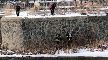 Kars Çayı'nda mahsur kalan köpek kurtarıldı
