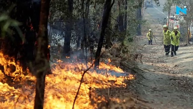 'Thor' star Chris Hemsworth donates $1M to support the fight against bushfires