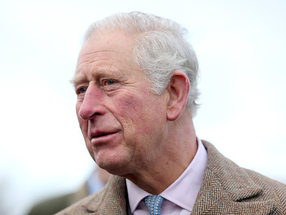Bewegendes Video: Prince Charles spricht Australiern Mut zu