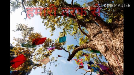 Happy Makarsankranti status|| happy lohri|| makarsankranti whatsapp statuss||