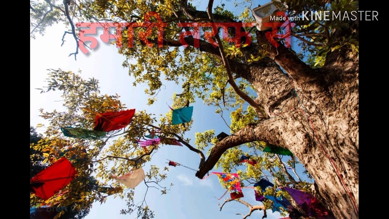 Happy Makarsankranti status|| happy lohri|| makarsankranti whatsapp statuss||