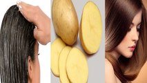 बालों को लंबा करेगा आलू का ये पैक | Potato Pack For Hair Fall | Hair Growth Pack |Boldsky