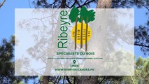 Scierie Ribeyre, exploitation forestière, sciage et séchage, traitement autoclave dans les Landes