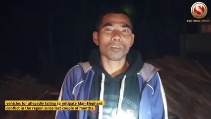 Uproar in Nagaon's Kampur after Forest Officials failed to mitigate Man-Elephant Conflict