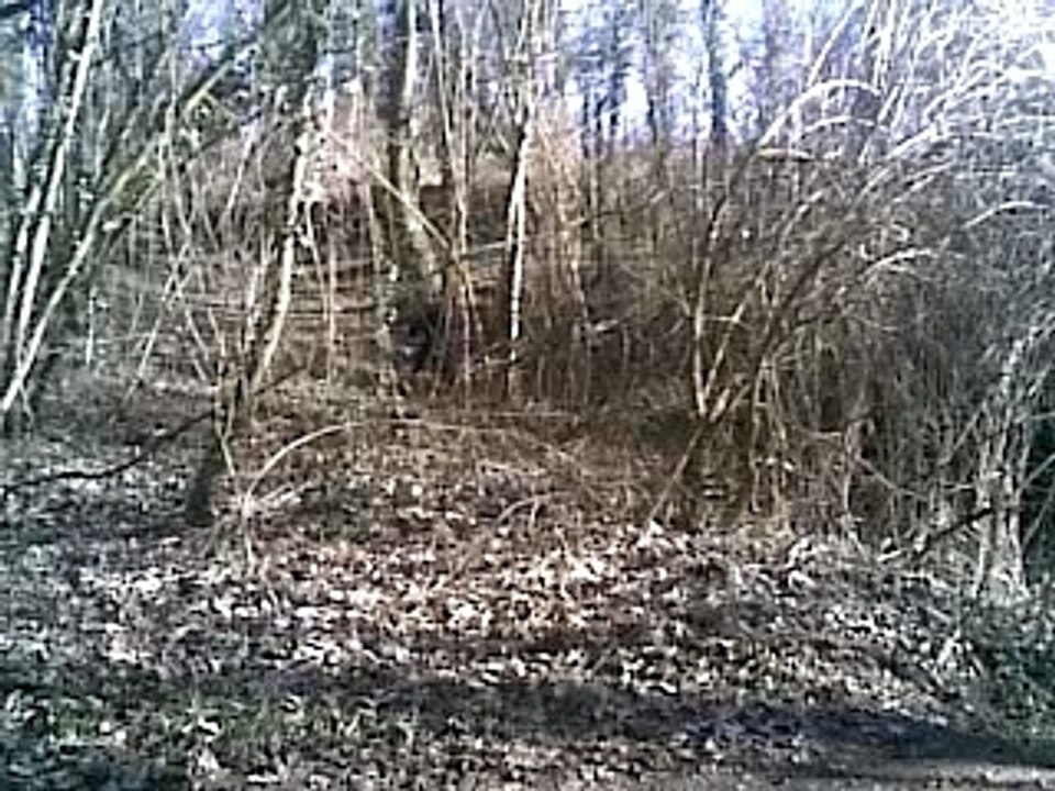 derbi a ressons sur matz au mont -belo