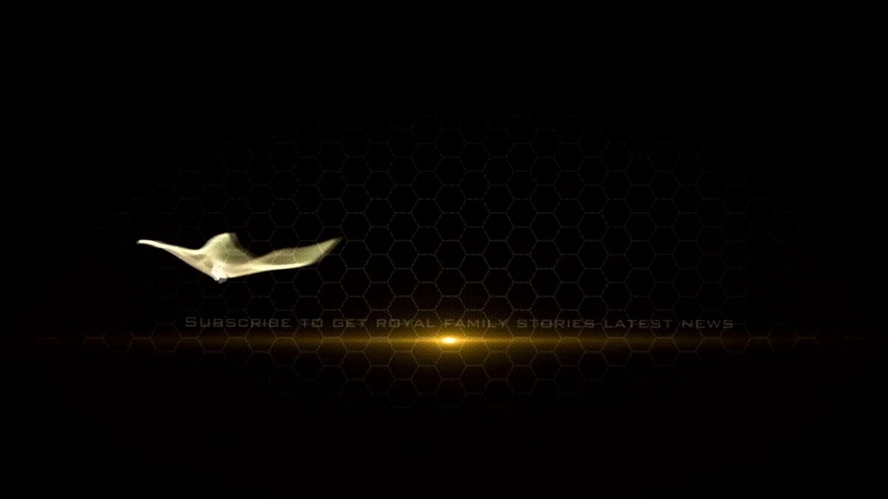 Meghan famously tried to conceal her pregnancy with a stack of folders when she arrived in Australia