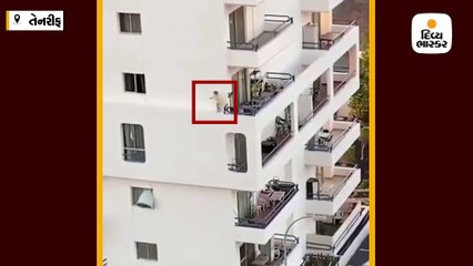 પાંચમા માળની પાતળી રેલિંગ પર રમતી દેખાઈ માસૂમ, શોકિંગ વીડિયો વાઈરલ
