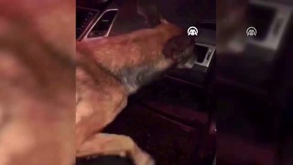 Hatay'da 4 bin 483 uyuşturucu hap ele geçirildi