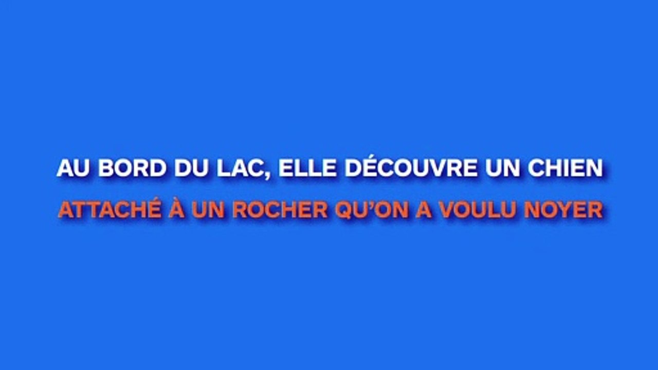 Au bord du lac, elle découvre un chien attaché à un rocher...dans l'eau