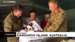 Australian army vets treat koalas who have suffered burns in wildfires