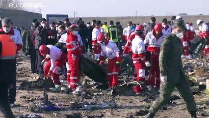 176-an utaztak a lezuhant ukrán gépen