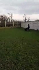 RSPCA reunite dog with owner