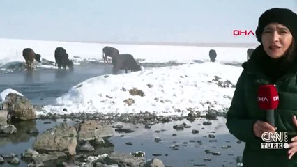 Mandalar Kaz Gölü'nden besleniyor