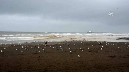 Sağanak ve fırtına hayatı olumsuz etkiliyor