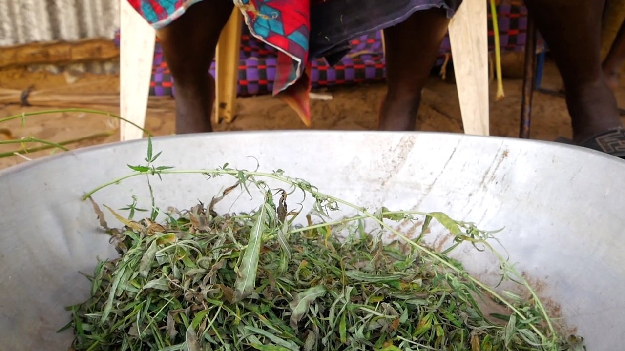 Le cannabis, pain bénit d'un coin reculé du Sénégal
