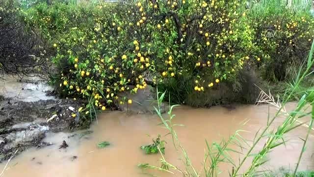 Erdemli Ziraat Odası Meclis Başkanı Şahin'den afet bölgesi talebi