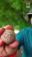 Deepak Bhat Who Makes Sculptures Out Of Betel Nuts