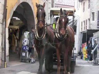 ANNECY | Collecte hippomobile de sapins de Noël