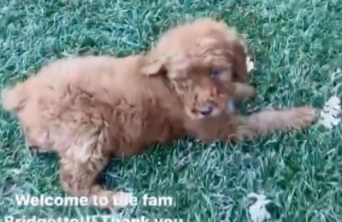 Kris Jenner hat adoptiert