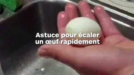 Astuce pour écaler un œuf rapidement